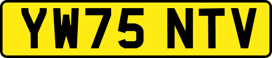 YW75NTV