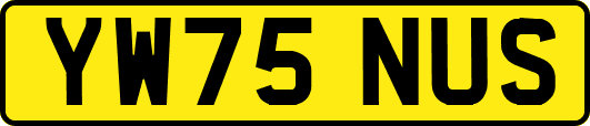 YW75NUS