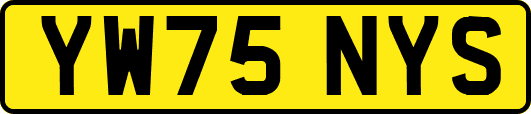 YW75NYS