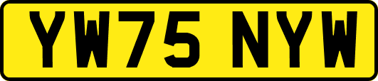 YW75NYW