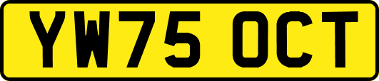 YW75OCT