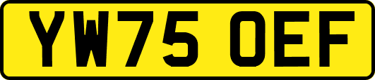 YW75OEF