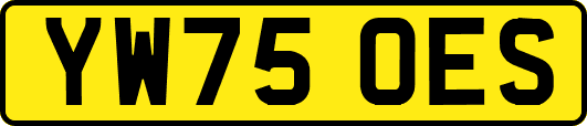 YW75OES