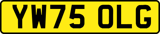 YW75OLG