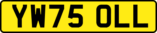 YW75OLL