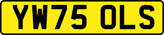 YW75OLS
