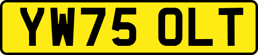 YW75OLT