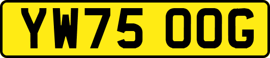 YW75OOG