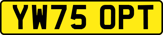 YW75OPT