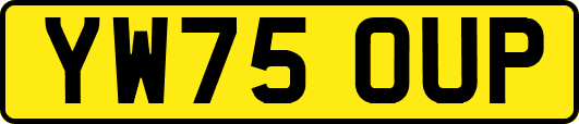 YW75OUP