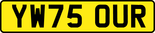 YW75OUR