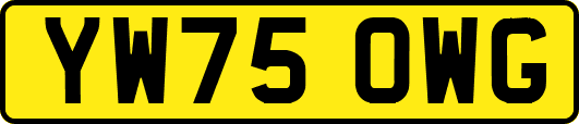 YW75OWG