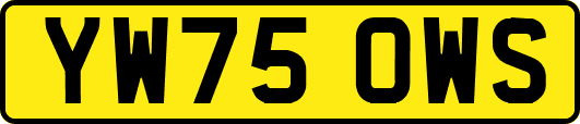 YW75OWS