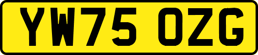YW75OZG