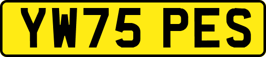 YW75PES