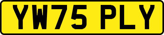 YW75PLY
