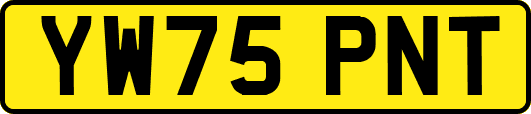 YW75PNT