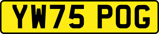 YW75POG
