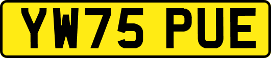 YW75PUE