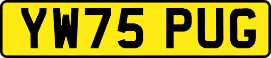 YW75PUG