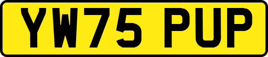 YW75PUP