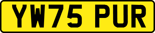 YW75PUR