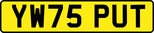 YW75PUT