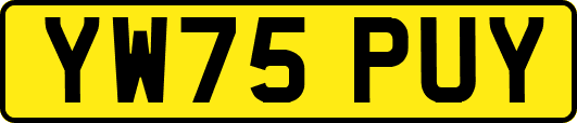 YW75PUY