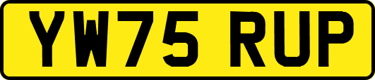 YW75RUP