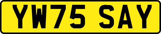 YW75SAY