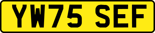 YW75SEF