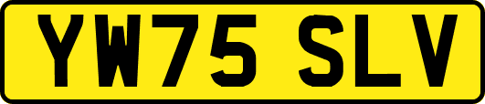 YW75SLV