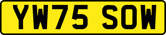 YW75SOW
