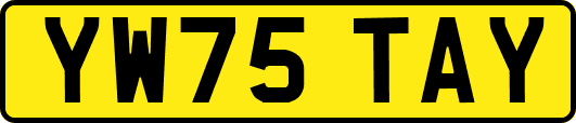 YW75TAY
