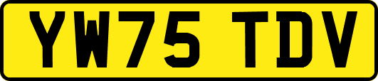 YW75TDV