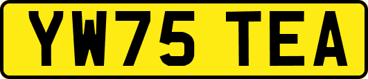 YW75TEA