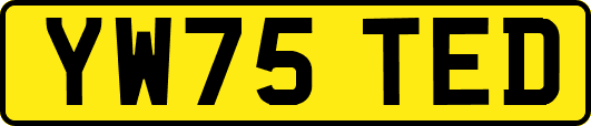 YW75TED