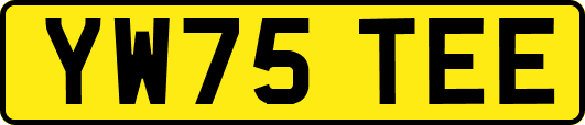 YW75TEE