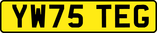 YW75TEG