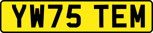 YW75TEM