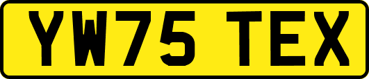 YW75TEX