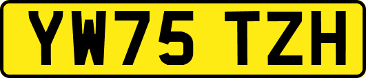 YW75TZH