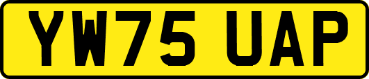 YW75UAP