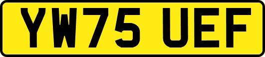 YW75UEF