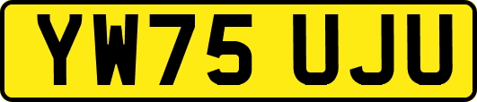 YW75UJU