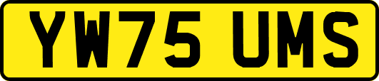 YW75UMS