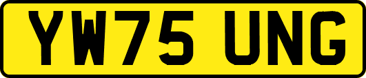 YW75UNG