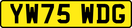 YW75WDG