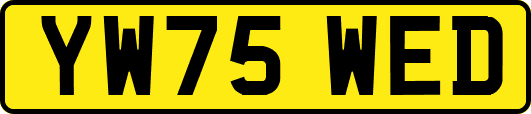 YW75WED