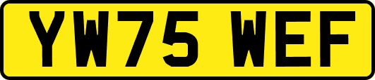 YW75WEF